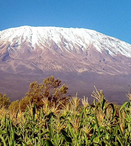 Kilimanjaro Nationalpark (© Sadi Ugur OKÇu, iStockphoto.com / YOLO.Reisen)